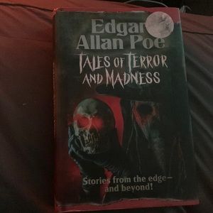 Edgar Allen Poe Tales of Terror and Madness Book